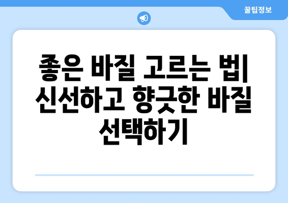 바질의 모든 것| 효능, 부작용, 좋은 바질 고르는 법 & 맛있게 먹는 법 | 허브, 건강, 요리