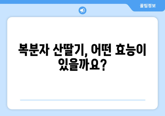 복분자 산딸기| 효능, 부작용, 고르는 법, 먹는 법 총정리 | 건강, 효능, 부작용, 선택 가이드