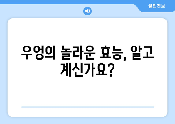 우엉의 효능과 부작용, 그리고 맛있는 우엉차 만드는 법 | 건강, 차, 레시피, 효능