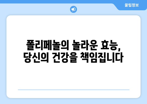 폴리페놀 효능 및 풍부한 음식 10가지| 건강을 위한 선택 | 항산화, 폴리페놀, 건강식단, 식단추천