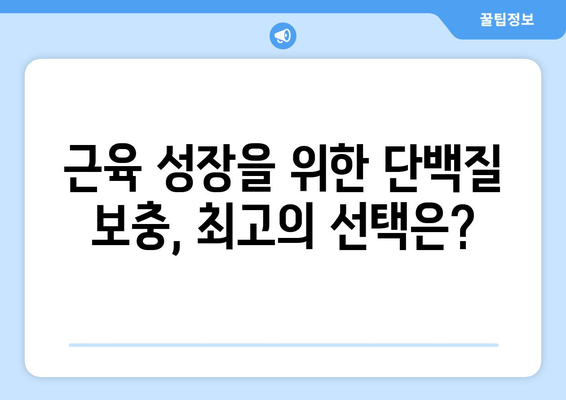 단백질 보충의 지름길! 💪 최고의 단백질 식품 10가지 | 단백질 풍부한 음식, 건강 식단, 근육 성장