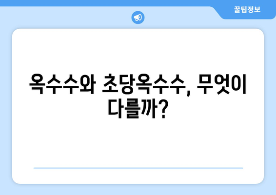 옥수수의 모든 것| 효능, 부작용, 삶는 법, 먹는 법, 칼로리, 초당옥수수와의 차이 | 건강, 식단, 팁, 정보