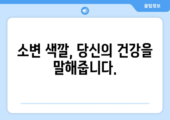 소변 색깔이 말해주는 건강 신호 | 건강 지표, 소변 색깔 변화, 건강 관리 팁