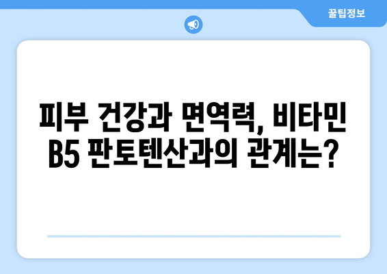 비타민 B5 판토텐산, 건강에 미치는 영향과 섭취 가이드 | 효능, 부작용, 권장 섭취량, 음식