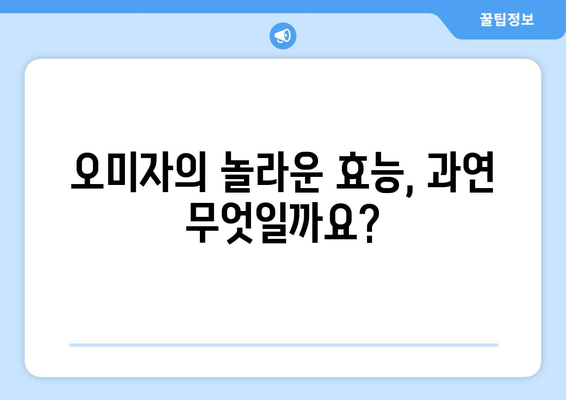 오미자의 놀라운 효능과 부작용, 영양 성분, 먹는 법, 오미자청 만드는 법까지! | 오미자, 건강, 효능, 부작용, 영양, 레시피