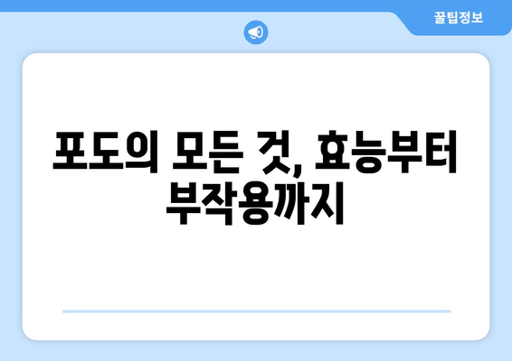 포도, 건강에 좋은 효능과 주의해야 할 부작용 | 포도 효능, 포도 부작용, 포도 섭취, 건강 정보