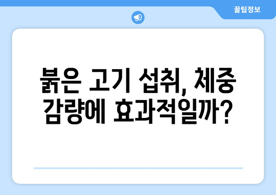 고지방 다이어트 붉은 고기, 몸에 어떤 변화가 일어날까? | 건강, 영양, 고기, 효과, 부작용