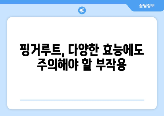 핑거루트 효능과 부작용| 중국 생강의 놀라운 효능과 주의 사항 | 건강, 핑거루트, 중국 생강, 부작용