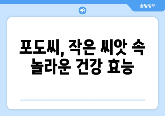 포도씨 효능| 건강과 미용을 위한 놀라운 비밀 | 포도, 씨앗, 항산화, 건강, 미용, 효능