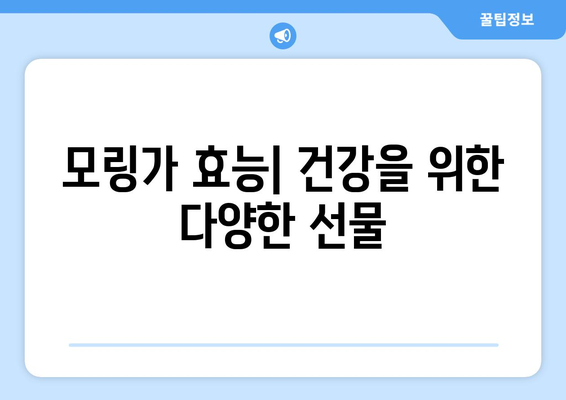 모링가 효능과 부작용, 영양 성분, 섭취 방법 총정리 | 건강, 식품, 슈퍼푸드, 모링가 효능, 모링가 부작용