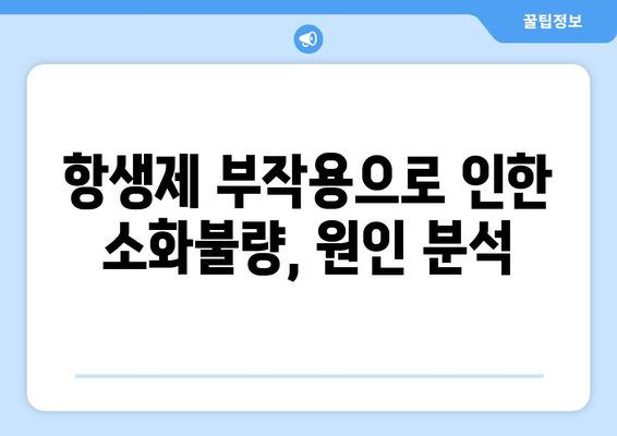 항생제 부작용으로 인한 소화불량, 원인과 해결책 | 소화불량, 항생제, 위장장애, 건강 정보