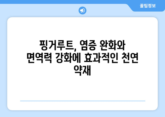 핑거루트 효능과 부작용| 중국 생강의 놀라운 효능과 주의 사항 | 건강, 핑거루트, 중국 생강, 부작용