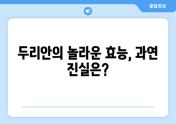 악마의 과일, 두리안 탐구| 효능, 부작용, 고르는 법, 먹는 법 완벽 가이드 | 두리안, 효능, 부작용, 고르는 법, 먹는 법,  악마의 과일