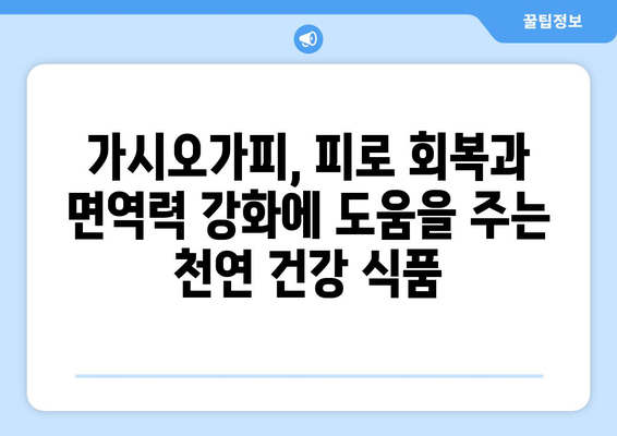 가시오가피의 효능과 부작용, 먹는 법 총정리 | 피로 회복, 면역력 강화, 건강 관리