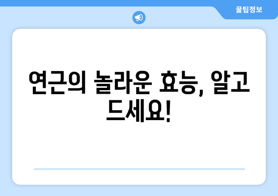 연근의 놀라운 효능 & 부작용 완벽 정리 | 연근 영양성분, 먹는법, 주의 사항