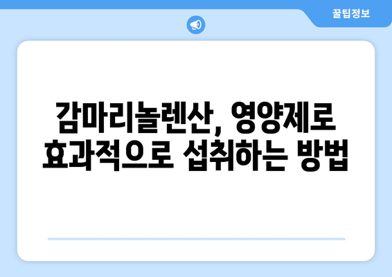 감마리놀렌산의 모든 것| 효능, 부작용, 영양제 복용법, 풍부한 음식 | 건강, 영양, 식단, 건강기능식품