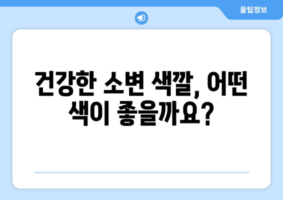 소변 색깔이 말해주는 건강 신호 | 건강 지표, 소변 색깔 변화, 건강 관리 팁