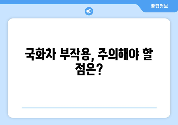 국화차 효능, 부작용, 만들기| 제대로 알고 건강하게 즐기는 방법 | 국화차 효능, 국화차 부작용, 국화차 만드는 법