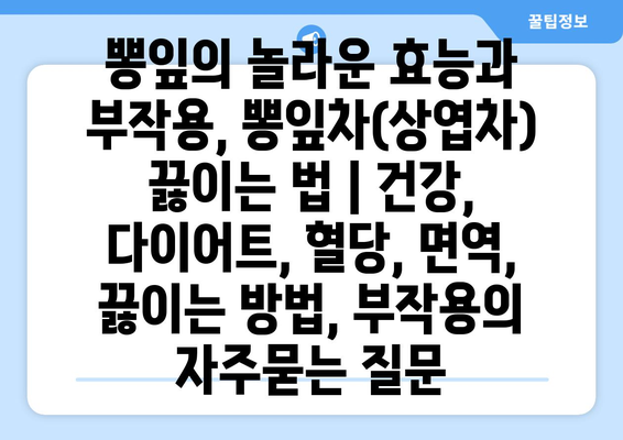 뽕잎의 놀라운 효능과 부작용, 뽕잎차(상엽차) 끓이는 법 | 건강, 다이어트, 혈당, 면역, 끓이는 방법, 부작용