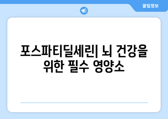 포스파티딜세린 효능, 부작용, 권장량, 섭취 방법 총정리 | 건강, 두뇌, 기억력, 집중력, 영양제