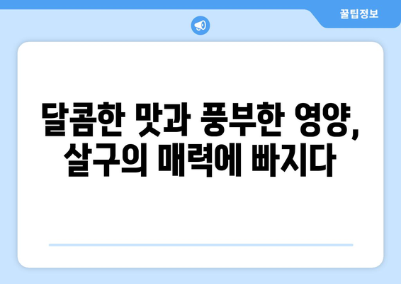 살구의 모든 것| 효능, 영양 성분, 먹는 법 총정리 | 살구, 건강, 과일, 효능, 영양