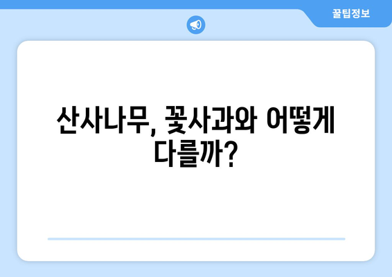 산사나무 효능, 부작용, 열매 먹는 법 총정리| 꽃사과와 비교분석 | 산사나무 효능, 산사나무 부작용, 산사나무 열매, 꽃사과