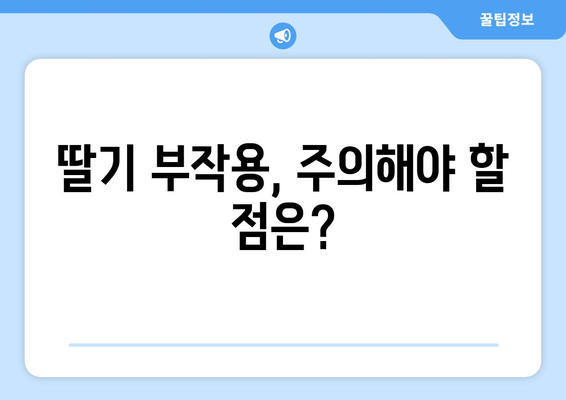 딸기 스트로베리 효능 부작용 먹는법| 건강에 좋은 성분 가득한 맛있는 과일 | 딸기 효능, 딸기 부작용, 딸기 먹는법, 딸기 레시피