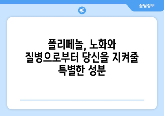 폴리페놀 효능 및 풍부한 음식 10가지| 건강을 위한 선택 | 항산화, 폴리페놀, 건강식단, 식단추천