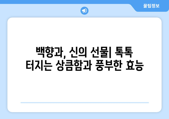 상큼함 가득! 패션후르츠 백향과, 효능부터 부작용, 먹는 법까지 완벽 정복 | 씨앗까지 맛있는 여신의 과일