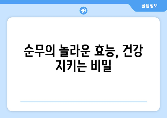 순무의 놀라운 효능과 주의해야 할 부작용, 그리고 맛있게 먹는 방법 | 순무, 효능, 부작용, 레시피, 건강