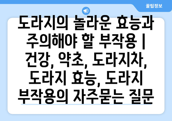 도라지의 놀라운 효능과 주의해야 할 부작용 | 건강, 약초, 도라지차, 도라지 효능, 도라지 부작용