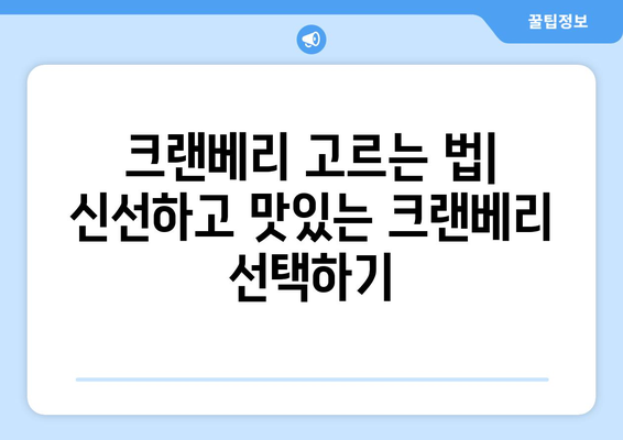 크랜베리의 놀라운 효능 & 부작용 완벽 가이드| 고르는 법, 보관법, 맛있는 레시피까지! | 건강, 슈퍼푸드, 베리, 레시피