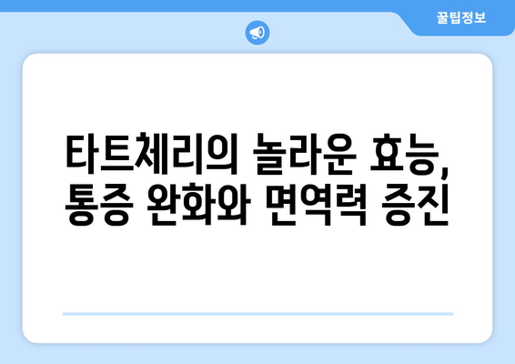 타트체리의 놀라운 효능과 부작용! 맛있게 즐기는 타트체리 쥬스 복용법까지 | 건강, 수면, 통증 완화, 섭취 방법, 주의 사항