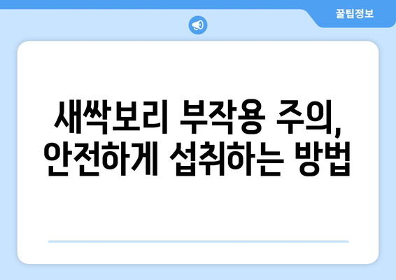 새싹보리 효능, 부작용, 분말 파우더 먹는법| 건강 효과와 주의 사항 완벽 가이드 | 새싹보리, 건강, 분말, 효능, 부작용, 먹는법