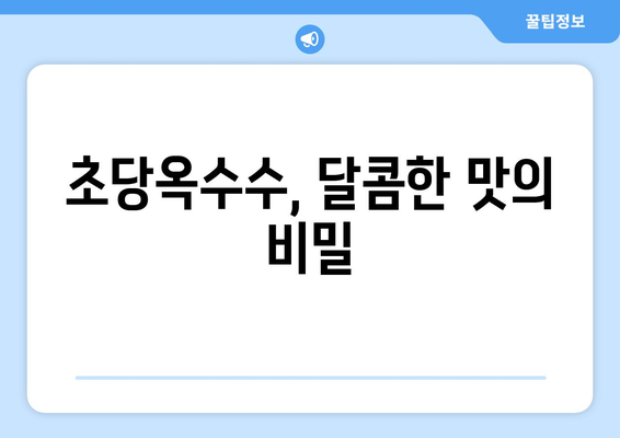 초당옥수수 완벽 가이드| 특징, 칼로리, 삶는 법, 먹는 법, 보관법까지 | 옥수수, 꿀옥수수, 요리 레시피