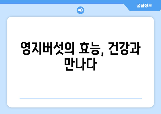 영지버섯의 놀라운 효능과 부작용, 먹는 법까지 완벽 가이드| 다양한 질병 치료를 돕는 귀한 약재 | 영지버섯 효능, 영지버섯 부작용, 영지버섯 먹는 법, 건강, 약재