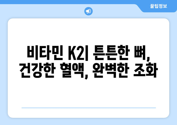 비타민K2의 놀라운 효능과 풍부한 식품 섭취 가이드 | 건강, 뼈 건강, 혈액 건강, 식단