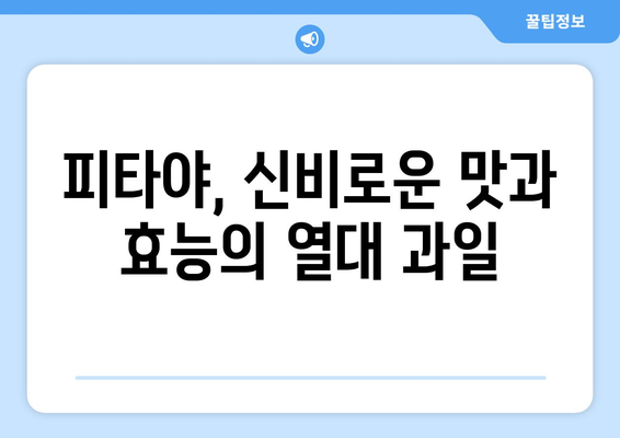 피타야(드래곤프루츠) 완벽 가이드| 효능, 부작용, 먹는 법까지 | 피타야, 드래곤프루츠, 효능, 부작용, 먹는법, 레시피, 섭취