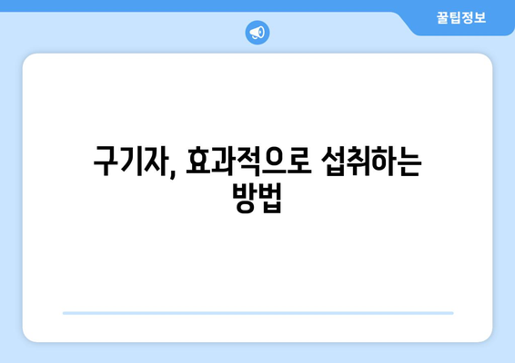 구기자의 놀라운 효능과 주의해야 할 부작용 완벽 정리 | 건강, 면역력, 부작용, 섭취방법