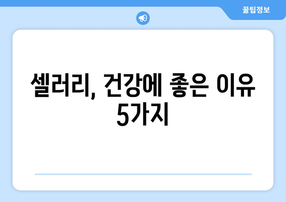 셀러리의 놀라운 효능과 주의해야 할 부작용, 그리고 신선하게 보관하는 방법 | 건강, 채소, 영양, 섭취 팁