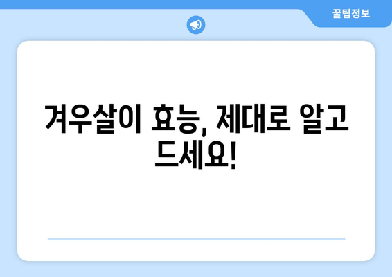 겨우살이 부작용, 알고 드세요! | 겨우살이 효능, 주의사항, 복용 시 부작용