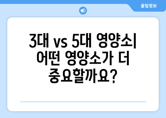 3대 영양소 vs 5대 영양소| 간단 명료하게 비교 정리 | 영양, 건강, 식단