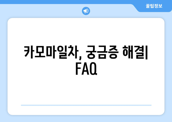 카모마일차 효능, 부작용, 주의사항 완벽 가이드 | 구입 & 사용법, 궁금증 해결