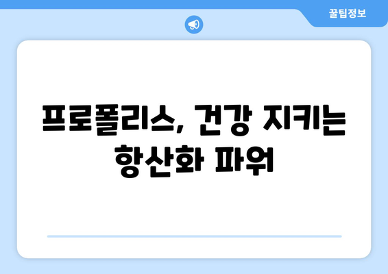 프로폴리스 효능과 부작용 완벽 정리 | 건강, 면역력, 항산화, 주의사항