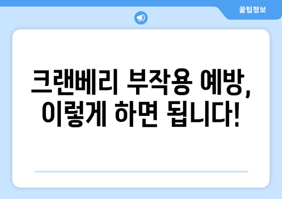 크랜베리 부작용 완벽 가이드 | 건강, 섭취 주의사항, 부작용 종류, 예방법