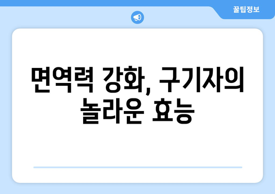 구기자의 놀라운 효능과 주의해야 할 부작용 완벽 정리 | 건강, 면역력, 부작용, 섭취방법