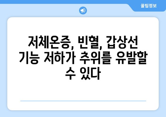 항상 추위를 느끼는 당신, 혹시 이런 이유 때문일까요? | 저체온증, 빈혈, 갑상선 기능 저하, 대처법