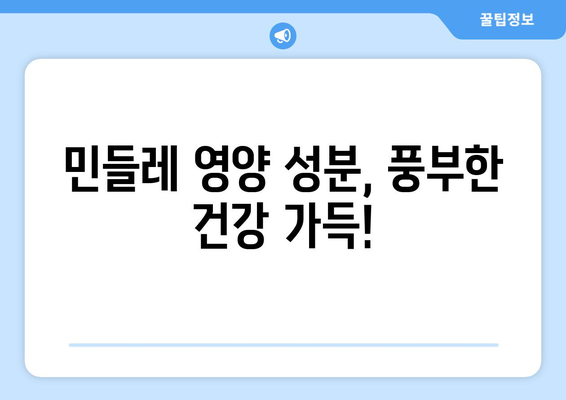 민들레 효능, 부작용, 영양 성분 완벽 정리! 맛있는 민들레차 끓이는 법까지 | 민들레, 건강, 차, 레시피