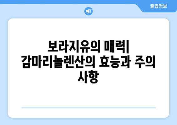 보라지유, 감마리놀렌산 효능과 부작용 그리고 보라지오일 vs 달맞이종자유 비교 | 건강, 오메가-6, 염증, 피부, 갱년기