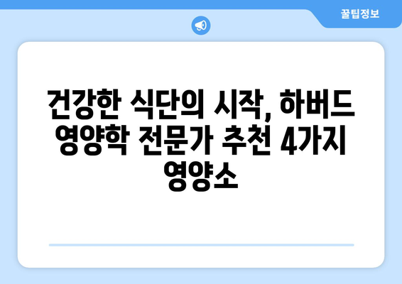 하버드 영양학 전문가가 추천하는 꼭 챙겨야 할 4가지 필수 영양소 | 건강, 영양, 식단, 하버드대학교